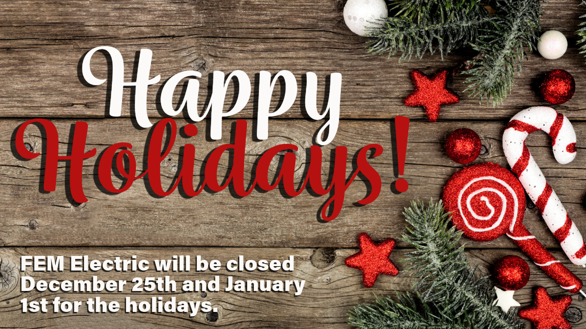 Happy Holidays from FEM